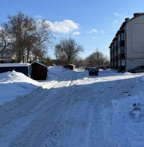 А вообще, если общественный активист, то лучше с трактором