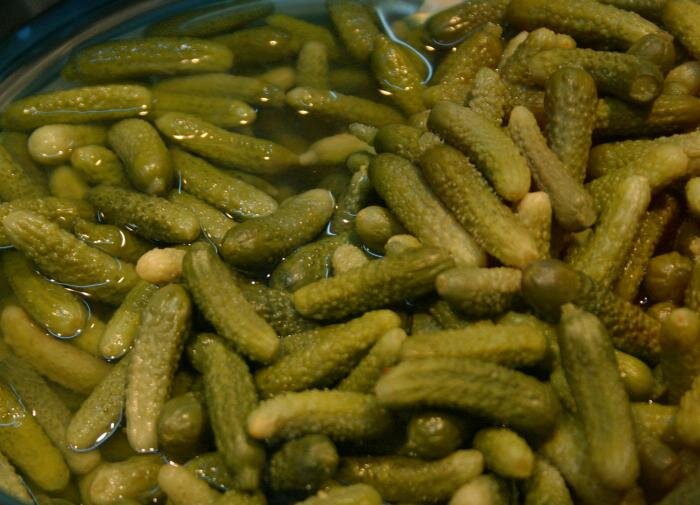 Сорт огурцов «Феникс 640»: Ваш идеальный выбор для засолки