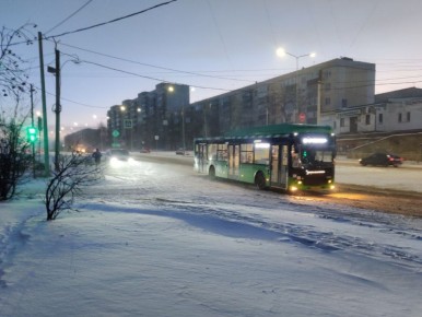 Мокрый снег, дождь и до +4 ожидается завтра в Курской области