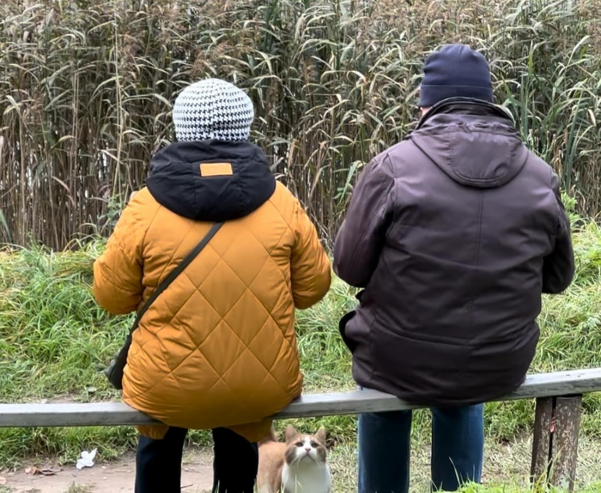 Пенсионеров старше 55 лет ожидают проверки: как сохранить свои выплаты