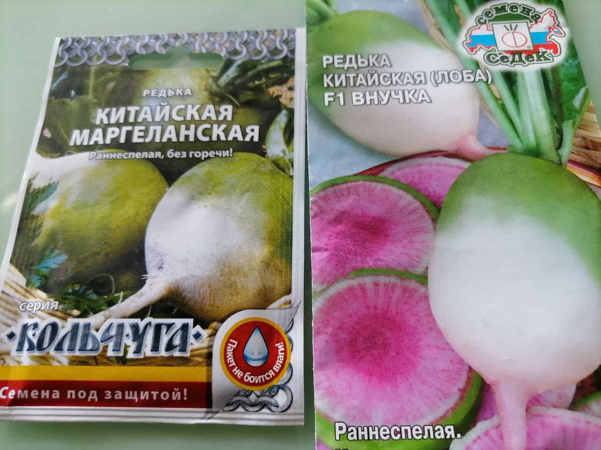 Секреты успешного выращивания дайкона и редьки в Сибири