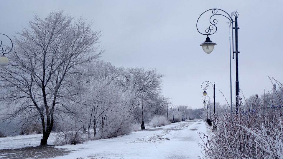 � ��������� ������ �������� ������������ ������� � ������ ������� ������������ ����������, ������� ����� ������������ �� ������������� �������� �������� �������� ���������� ��������� �����