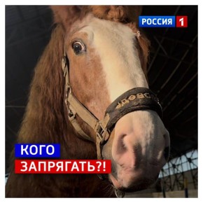 24 февраля, вторник. Жаловаться не будем, как и обещали, но узнаем ваше мнение о расширенных выходных