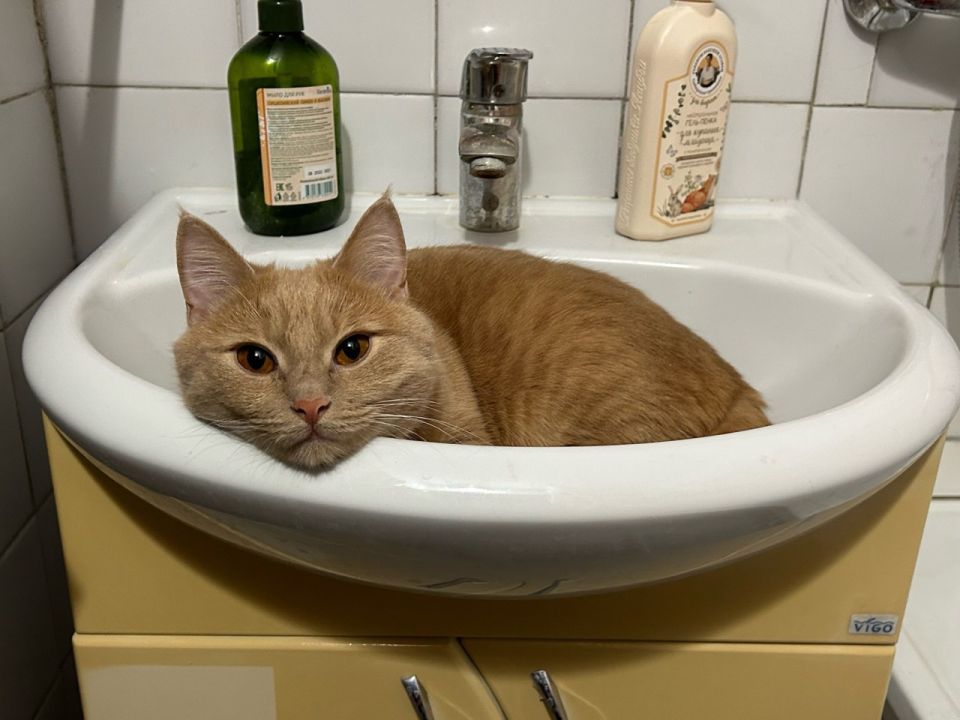 ��� ����� ����� ������� ����� �� �������� ���� ��� ���������