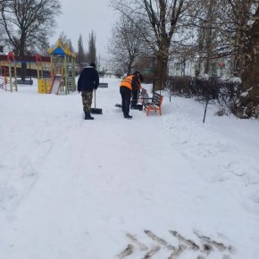 Евгений Маслов: После вчерашнего внушения подрядчик уже с утра наводит порядок в парках и скверах