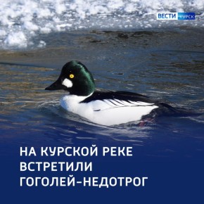 «Ходить гоголем». Это выражение означает важную, самоуверенную походку, как у птиц гоголей