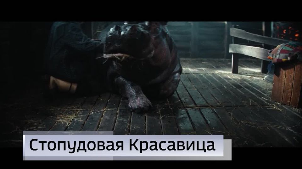 11111 ������� ���� ������� ������� ����� � ����� ��������� ����� � ����� �����: