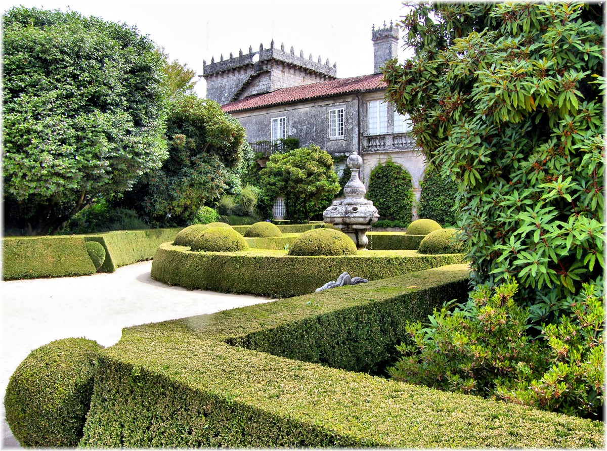 Живая изгородь: быстро и стильно