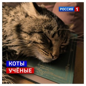 26 февраля, четверг. В это трудно поверить