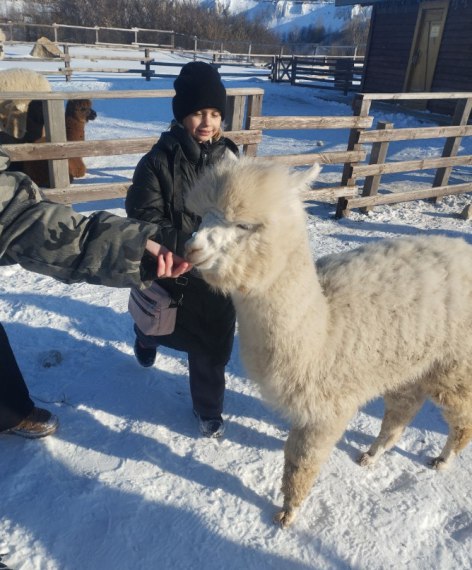 21 февраля Литвяк Екатерина Александровна и Шапочкина Татьяна Викторовна со своими учениками (6б и 7б классы) школы №4 посетили воронежский парк «Белый колодец» 21 февраля Литвяк Екатерина Александровна и Шапочкина Татьяна Викторовна со своими учениками (6б и 7б классы) школы №4 посетили воронежский парк «Белый колодец»