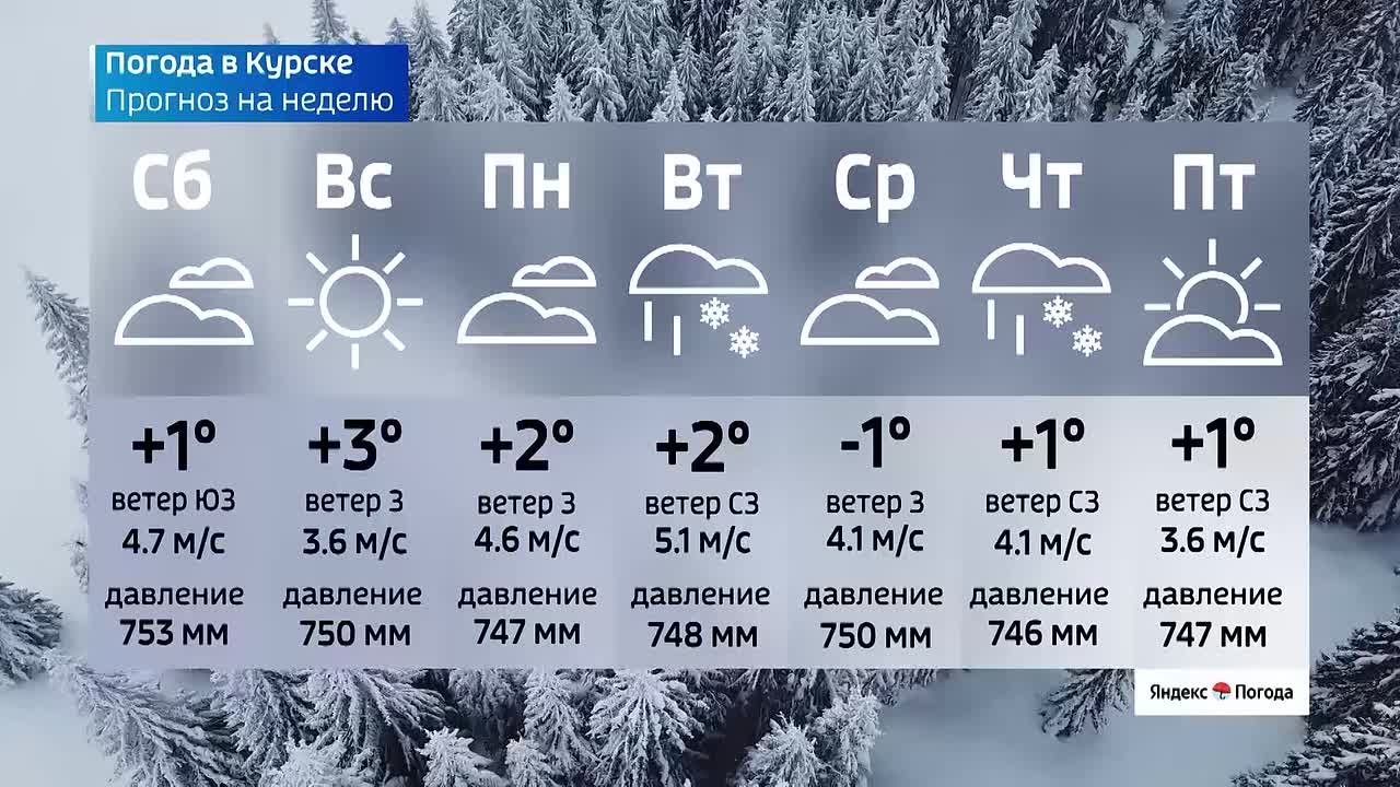 на 27 февраля. ВЕСТИ Читать | Прислать | MAX