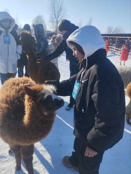 21 февраля Литвяк Екатерина Александровна и Шапочкина Татьяна Викторовна со своими учениками (6б и 7б классы) школы №4 посетили воронежский парк «Белый колодец» 21 февраля Литвяк Екатерина Александровна и Шапочкина Татьяна Викторовна со своими учениками (6б и 7б классы) школы №4 посетили воронежский парк «Белый колодец»
