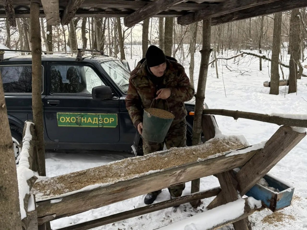 В Курской области с начала года в кормушки для диких животных выложили более 30 тонн зерна