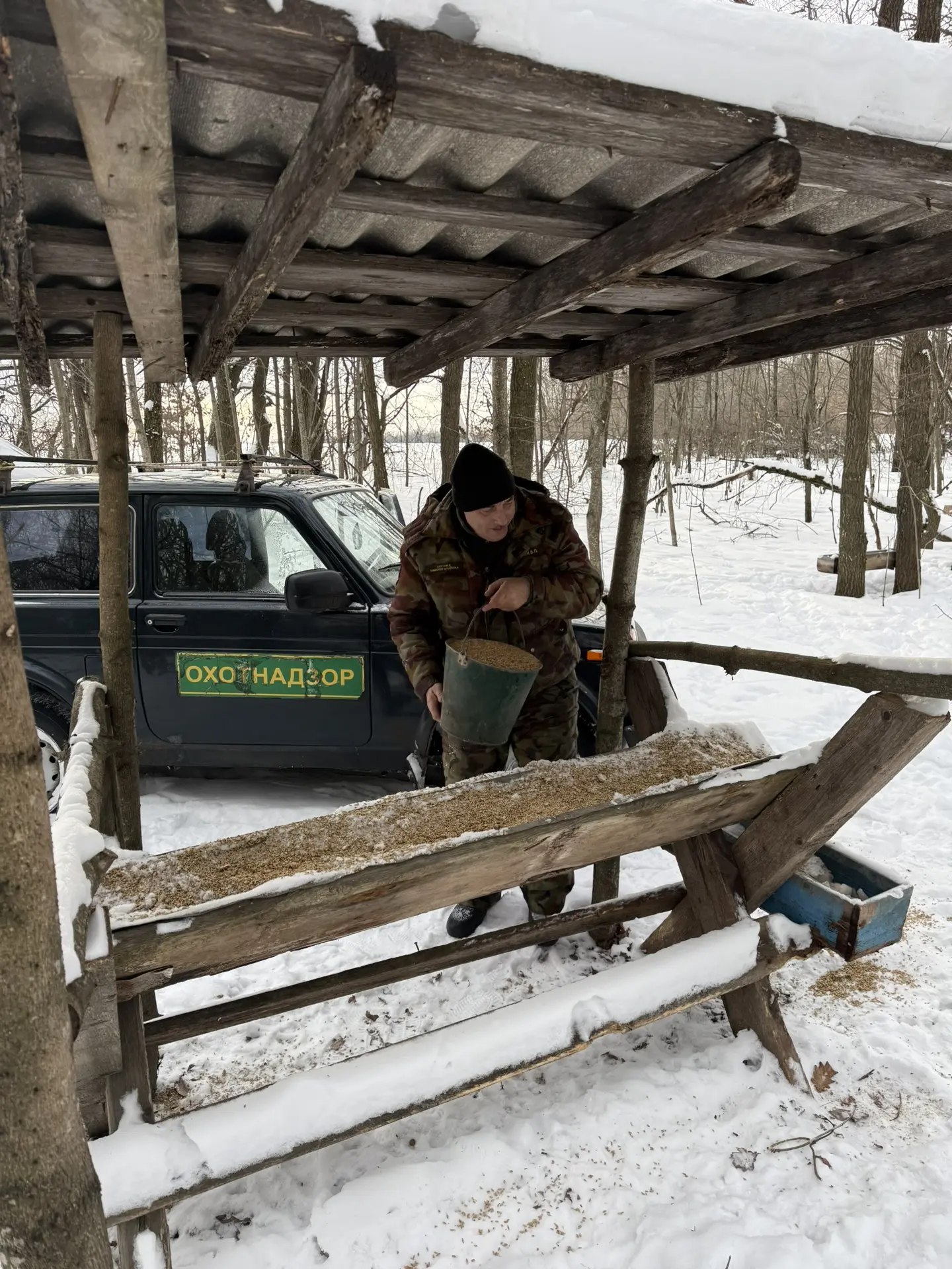 Минприроды Курской области продолжает подкормку диких животных