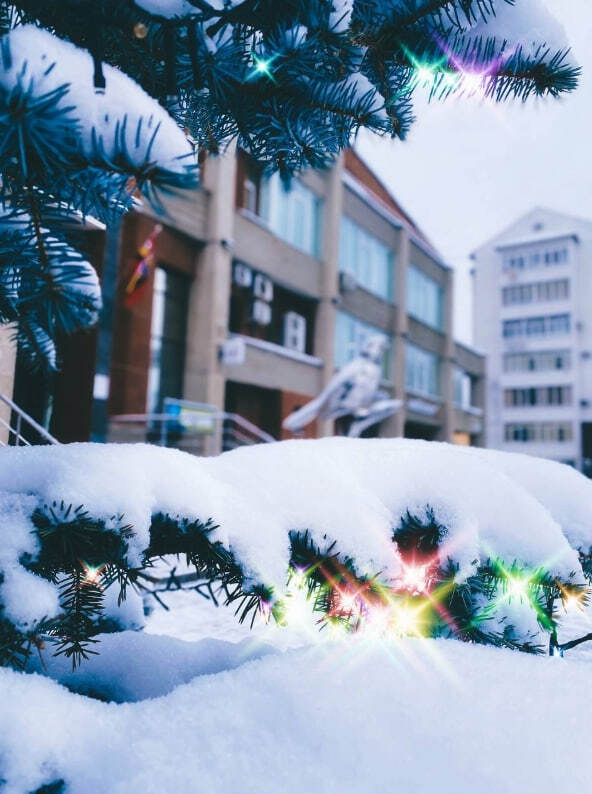 Зима почти всё! Добро пожаловать в весну! Это время года не даром связывают с ростом и пробуждением Зима почти всё! Добро пожаловать в весну! Это время года не даром связывают с ростом и пробуждением
