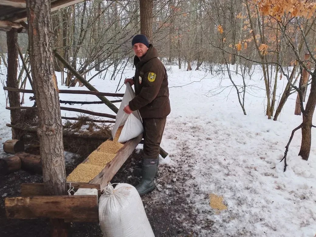 В Курской области с начала года в кормушки для диких животных выложили более 30 тонн зерна В Курской области с начала года в кормушки для диких животных выложили более 30 тонн зерна