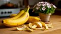 Не спешите выбрасывать банановую кожуру: 7 удивительных способов её использования