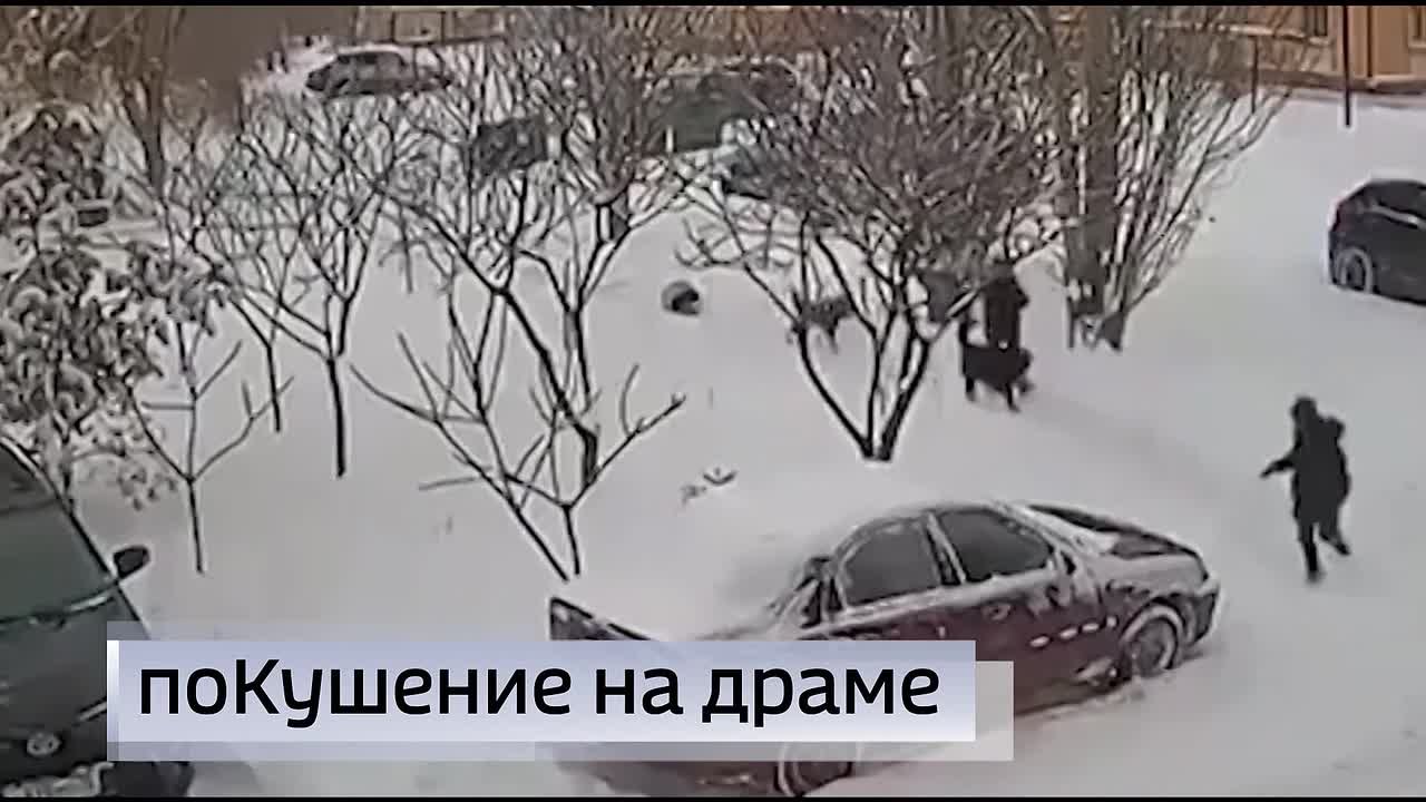 11111 Главные темы выпуска «Вестей Курск» — через несколько минут в нашем эфире: