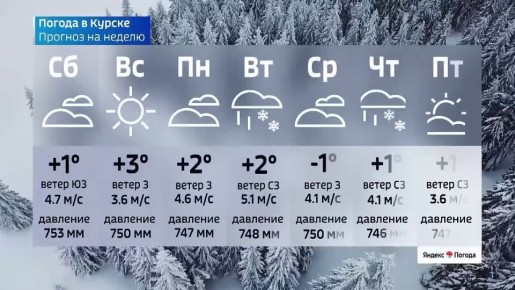 �� 28 �������. ����� ������ | �������� | MAX