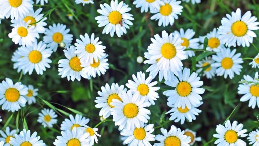 ������� �� �����: ��� ����� ����������� ������ � ������