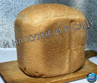 ��������� ��������� ������������: ��������-�������� ����