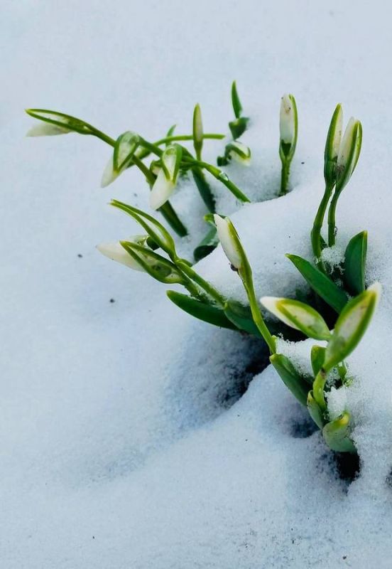 ������ �������� �������, �������������� ����������, ��������� ������ �� �������� � ������� �������