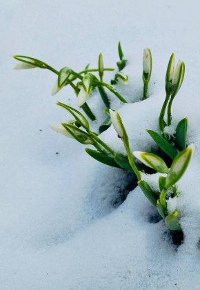 ������ �������� �������, �������������� ����������, ��������� ������ �� �������� � ������� �������