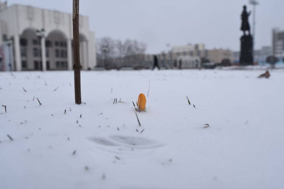 � ������ ���� ����� ����� ���� ���������� �� ���� ��������