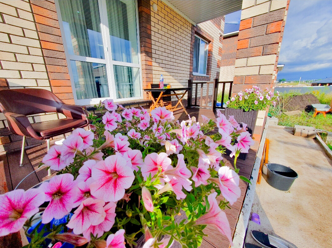 Почему строители отказываются от ДПК? Разбираем опыт и подводим итоги