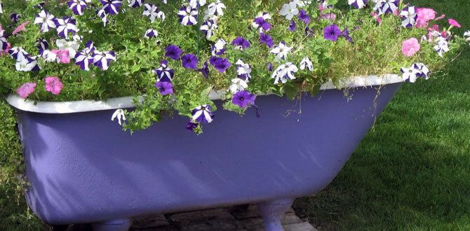 ����������� ���� ��� ������������ ������ ����