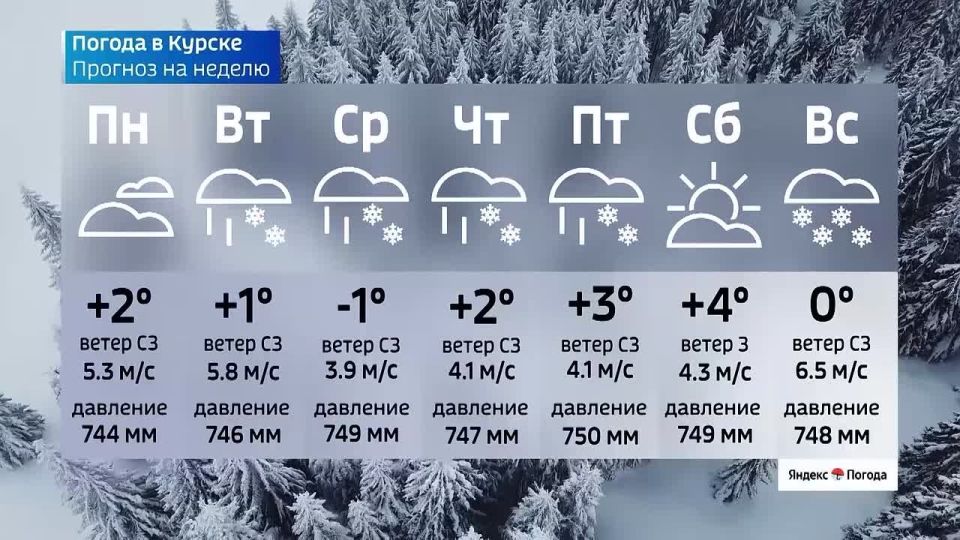 ����� ������ | �������� | MAX