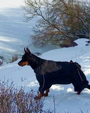 � ������� ������� � ������ �������������� ������ ������ ��������