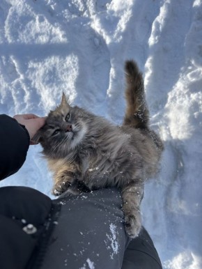 ����� ���������: � ������ ���� �����!. ����� �������! ������, ������