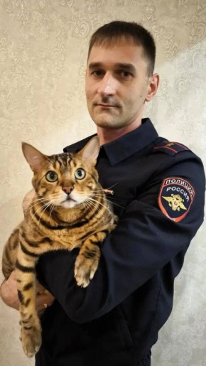 � ���� ����� ������� ����������� �������� ����� �������� ��������