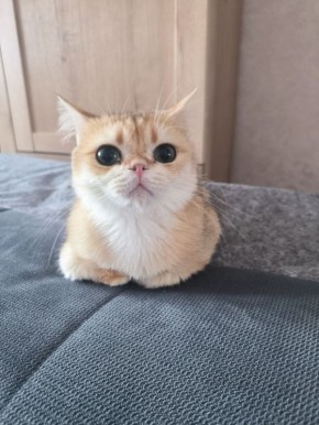 ������, ������� � ������ ���� ����� � ������ ���������� ���� �����