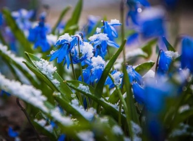 ������ ������: ��������� ������ ������������ ������!