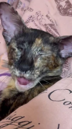 ������� ���� �����!. �������� ������ ��������� ����� ������� � ������ ����������� �� ����, ������� ������ ������� "����� � �������������" ����� ������ ���������� � ���������� ����������� 1 ����� ��� �����