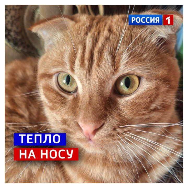 1 �����, �����������. �������-�� �����! � ������� � ������ ���� �����