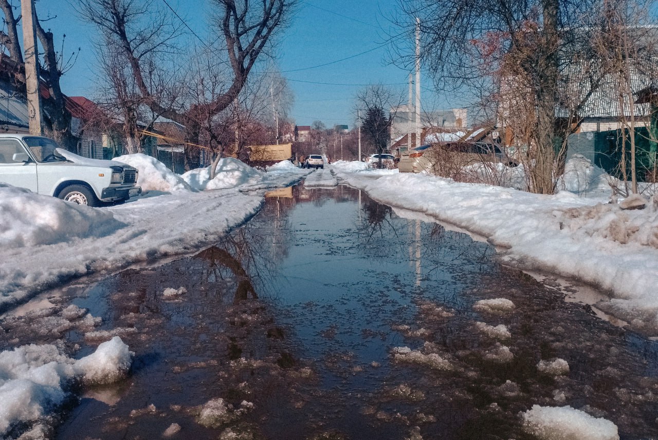 В Курскую область весна пришла не только по календарю, завтра воздух прогреется до +5°С