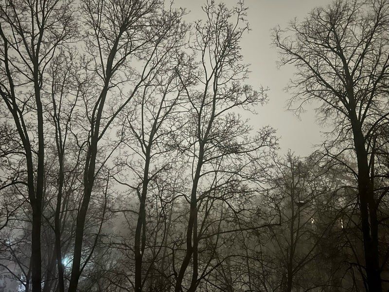 ������� ���� �������� � ���� ��� �������