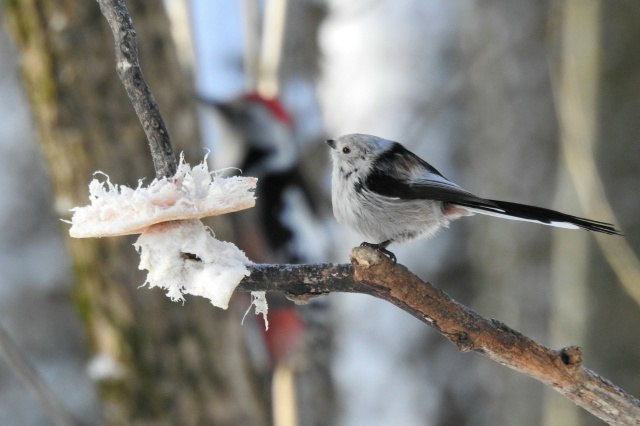 Доброе утро, Пристенский район!