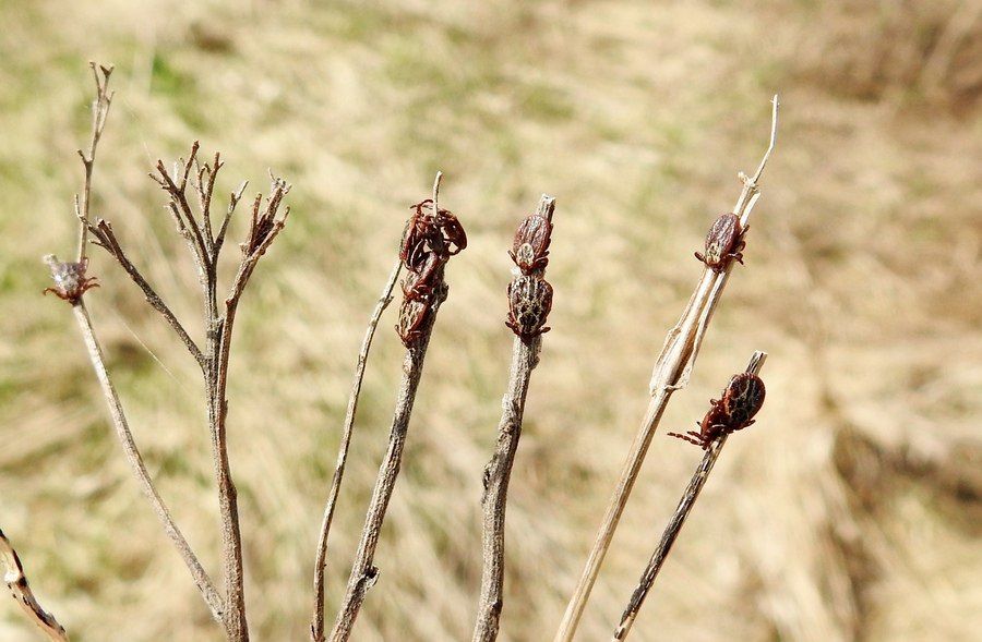 ����� ������������ � ������ ������ ������ ������