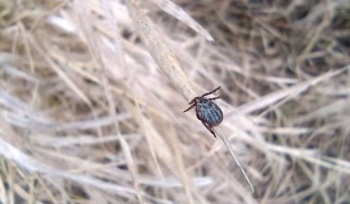 ���������� ������� ������������� � ������� ������ ������ � ������� �������