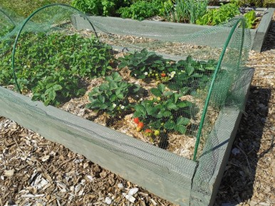 ��� ������ ������� ������ �� ��������� �������: ������� ������� ������