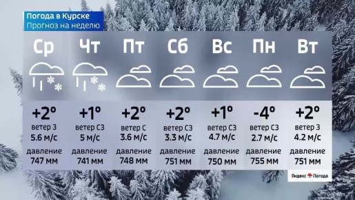 �� 3 �����. ����� ������ | �������� | MAX