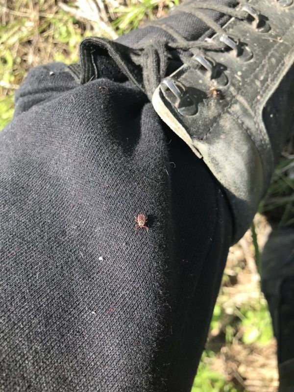 � ������� ������� ������ ���������� � ������� ������ ������ � �������� ������