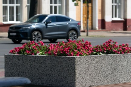 � ������ ��������� ������������ ������� ���������� ���������� �� ���������� ��������� ����������