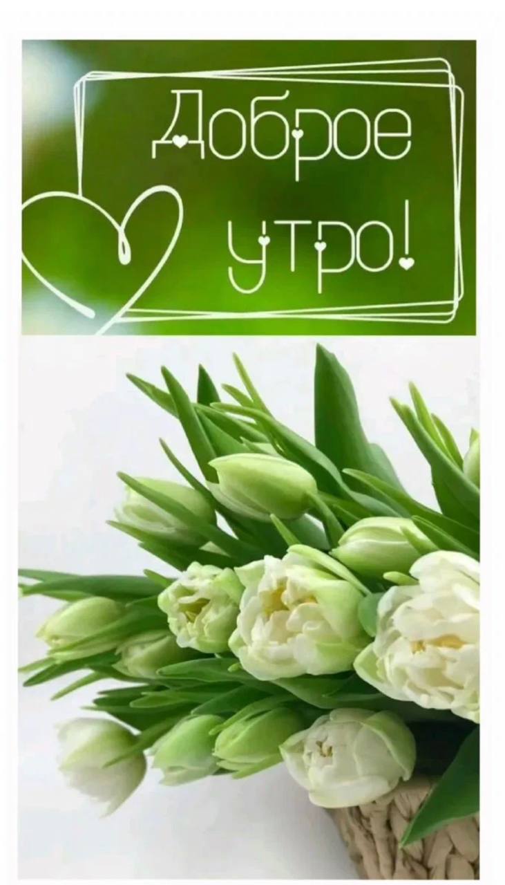 Доброе утро!. Сегодня, во вторник, 3 марта, по прогнозу регионального отделения МЧС, в Курской области облачно с прояснениями