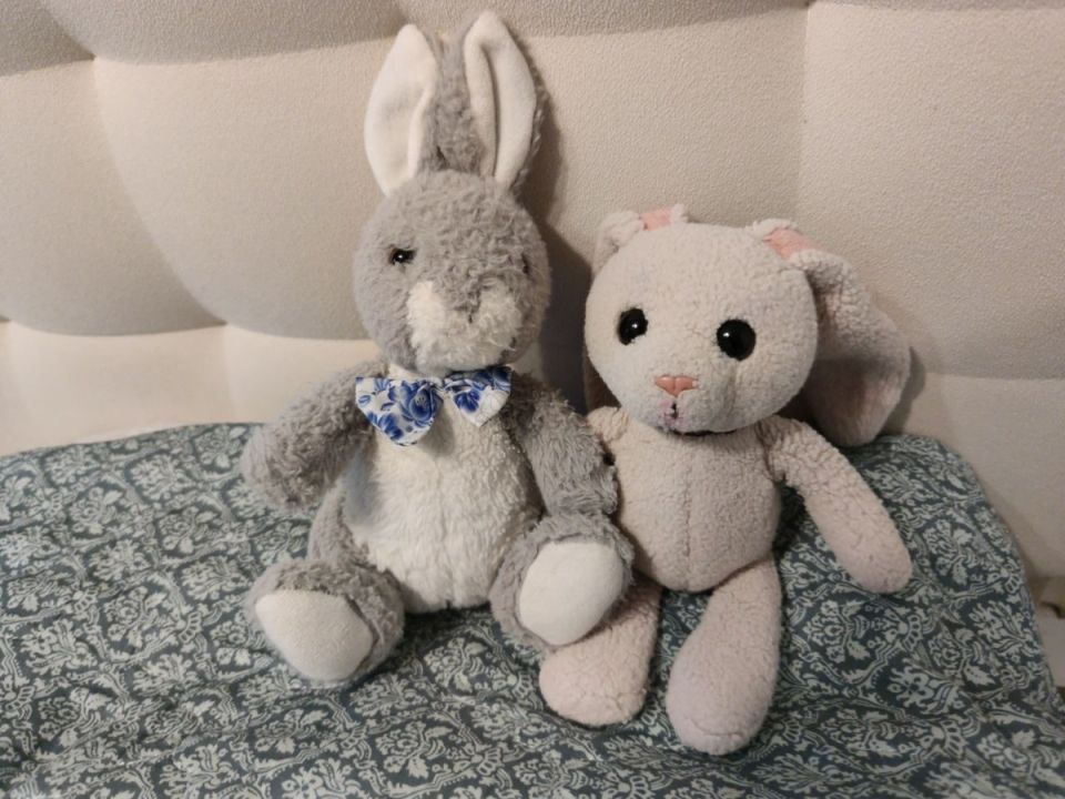 ����������� ������: ��� �������� ������ ������ �����