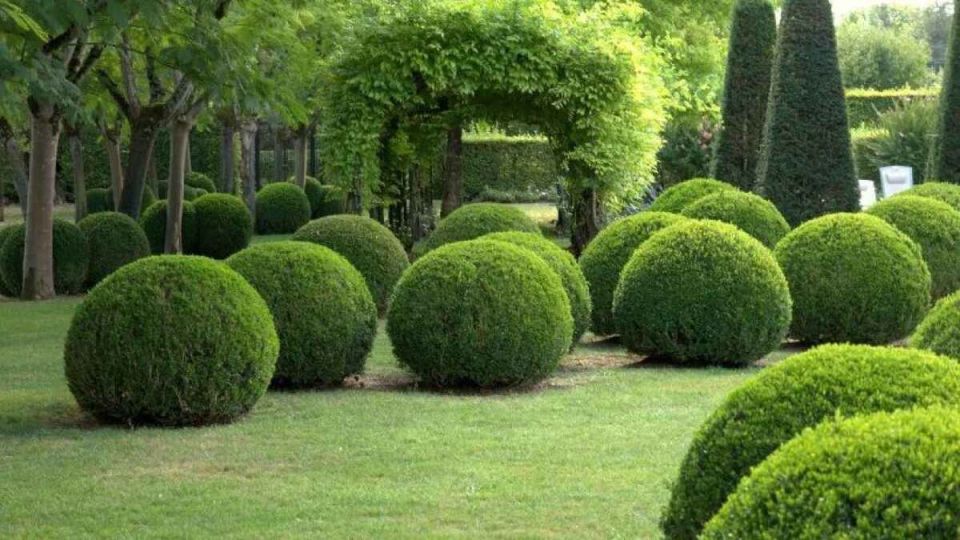 ������: ��� ��������� ������������� �������� �� ����� �������